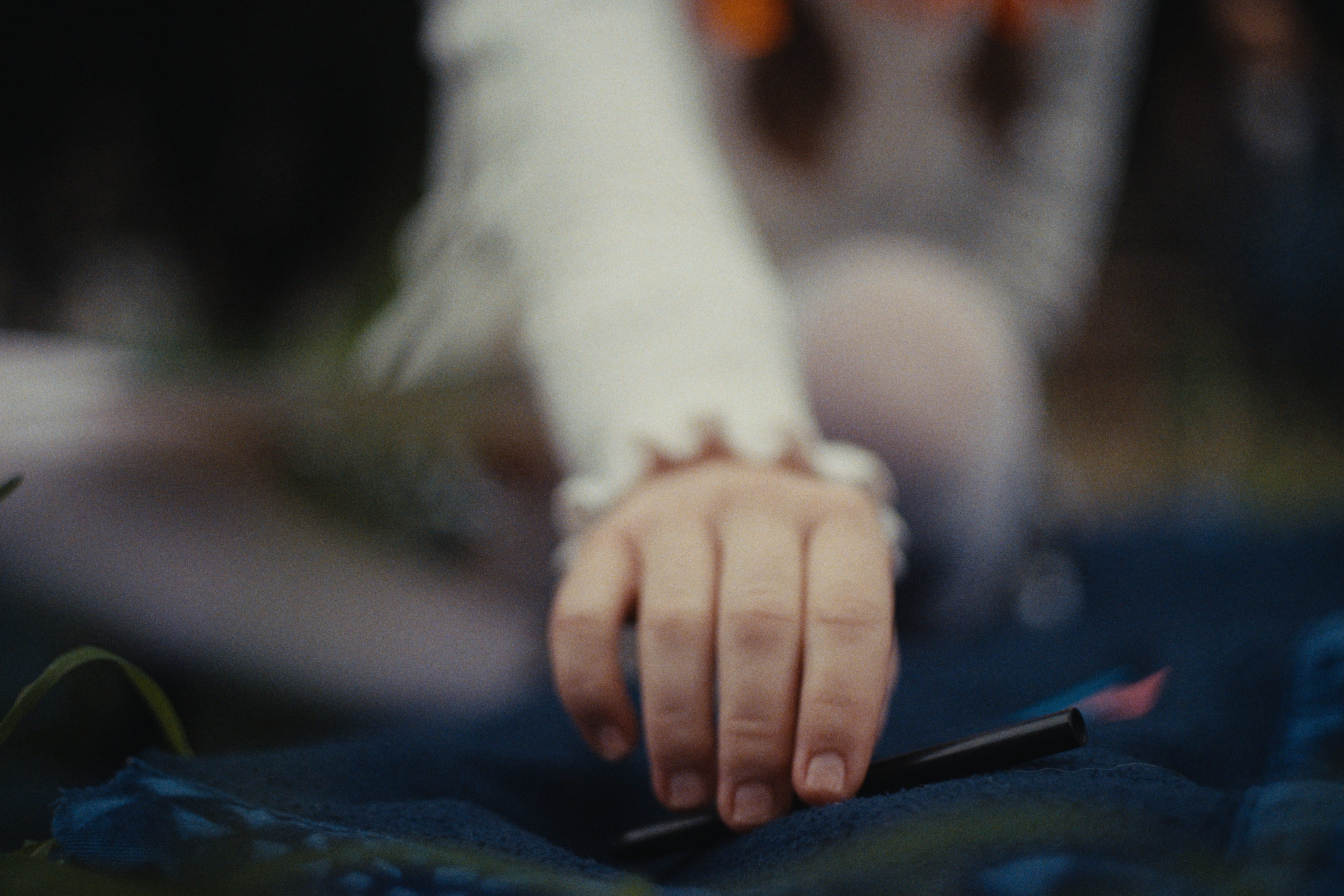 Candy - 5
